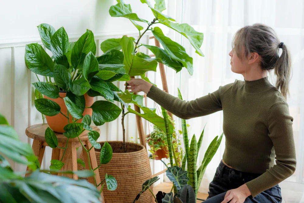 7 Low-Maintenance Plants For Ocala's Sandy Soil